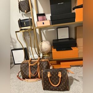 Louis Vuitton speedy monogram bag